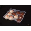 plastic food tray with dividers
