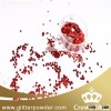 Polyester glitter powder