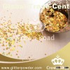 Hexagon glitter powder