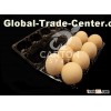 2X4 plastic egg tray