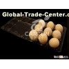 3X3 plastic egg tray