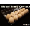 2X6 plastic egg tray