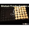 5X6 plastic egg tray