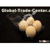 2X2 plastic egg tray