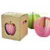 Recycled red / pink apple Shaped Sticky Notes for girl student
