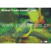 3D grating hologram label