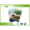 Education Institutions Personalised School Exercise Bookswith Saddle Stitched  Binding