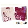 Paper Bag in Different colors Printing