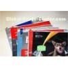Eco Friendly Plastic Zipper Slider Bags Dry Pet Food Packaging