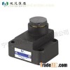 Check Valve