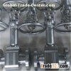 Bellow Sealed Globe Valve
