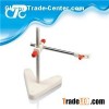 Laboratory Clamps And Supports