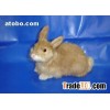 Easter Rabbits, Easter gifts, Easter decorations
