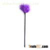 Funny Feather