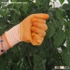yellow PVC coated working gloves PG1511-3