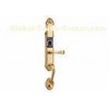 Thumb Scanner Door Lock , Fingerprint Entry Door Lock With 304 Stainless Lock Body