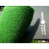 Leisure Grass WF-M2