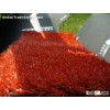 Leisure Grass WF-31