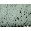 Leisure Grass WF-KW-White