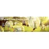 BUBBLE FOOTBALL