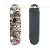 Pro Skateboard Decks , Canadian Maple Skateboard 5 inch Aluminum truck