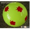 Painting Balls-PVC Balls