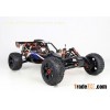 RUSHLESS Powered Rovan Sport Baja Buggy