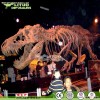 Museum Quality Life Size High Simulation Dinosaur Skeleton for Sale