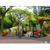 China kindergarten playground equipment  FY05801