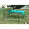 puppy pen DLBR(P)6007