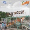 exciting amusement park rides crazy mouse