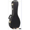 Mandolin guitar hard case,music instrument case for mandolin