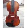 antique stlye violin