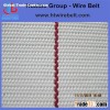 Traction belt