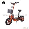 CE EEC electric scooters/EVO Scooters
