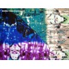 poly spandex knitting fabric