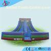 Rental Gaint Inflatable Double Slip / Purple Extrior Adult Inflatable Slide
