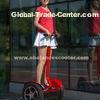 100 v - 240v Electric 2 Wheel self balancing Scooter DC Motor For Tourist Sightseeing