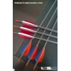 Carbon Fiber Arrows with Turkey Vanes