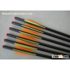 Archery Carbon Fiber Arrows