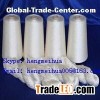 Raw Silk Yarn 20/22D Twisted Yarn for Warp