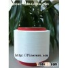 Full-dull Polyester FDY(15D/20D/30D/40D/50D......)