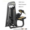 Back Extension  gym equipment  DHZ-N1031