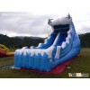 Inflatable Water Slides