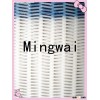 Spiral filter screen