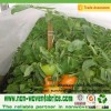 15-40g PP non woven fabric cover for vegetable
