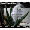 polyester staple fiber 7D*64 HCS