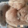 Camel Hair Fibers