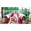 Hotel / Hospital Elegent 2 Ply Mink Blanket Woven Blankets With European Style