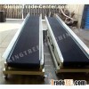 Coconut Conveyor Machine
